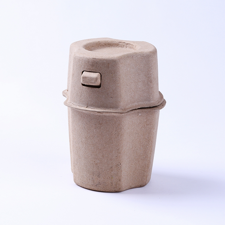 Compostable Recycled Paper Pulp Molded Botte Packaging