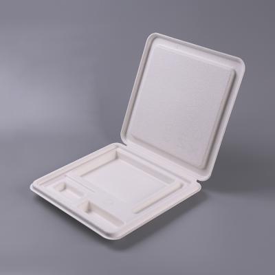 Disposable Bio Bagasse Pulp Molded Medical Tray