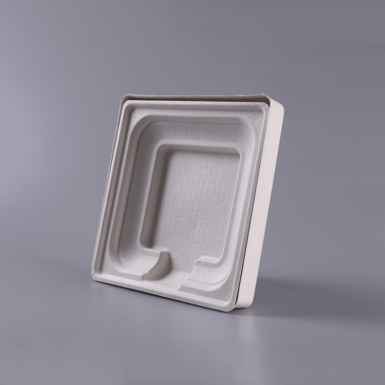 Bagasse Material Pulp Molded Packaging