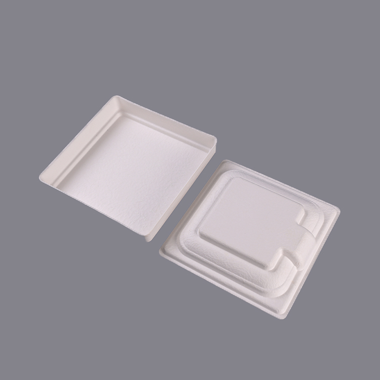 Bagasse Material Pulp Molded Packaging